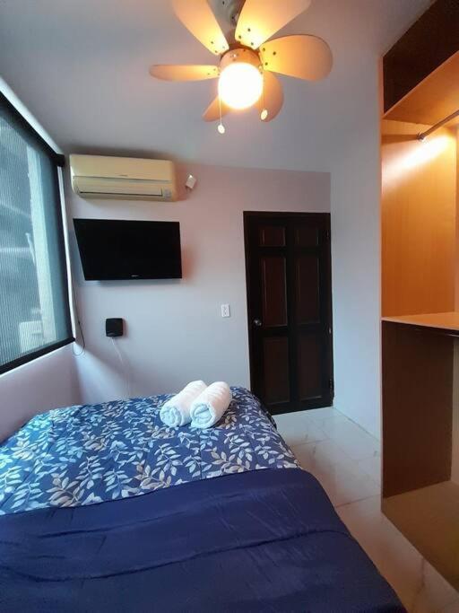 R.4-4 Lindo Estudio Ejecutivo En Area Turistica. 파나마시티 외부 사진